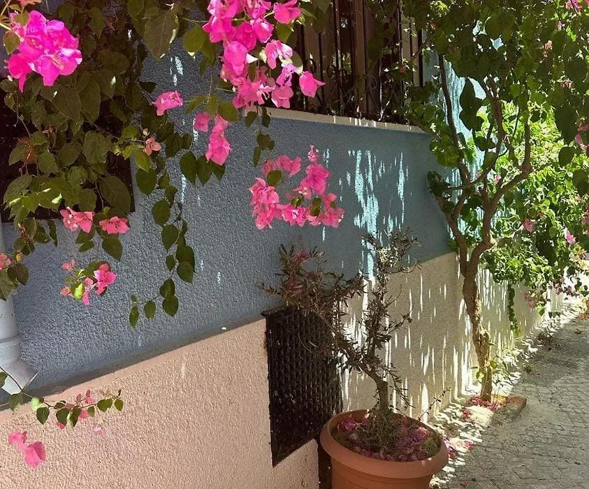 Casa Magnolia Boutique Rooms-1